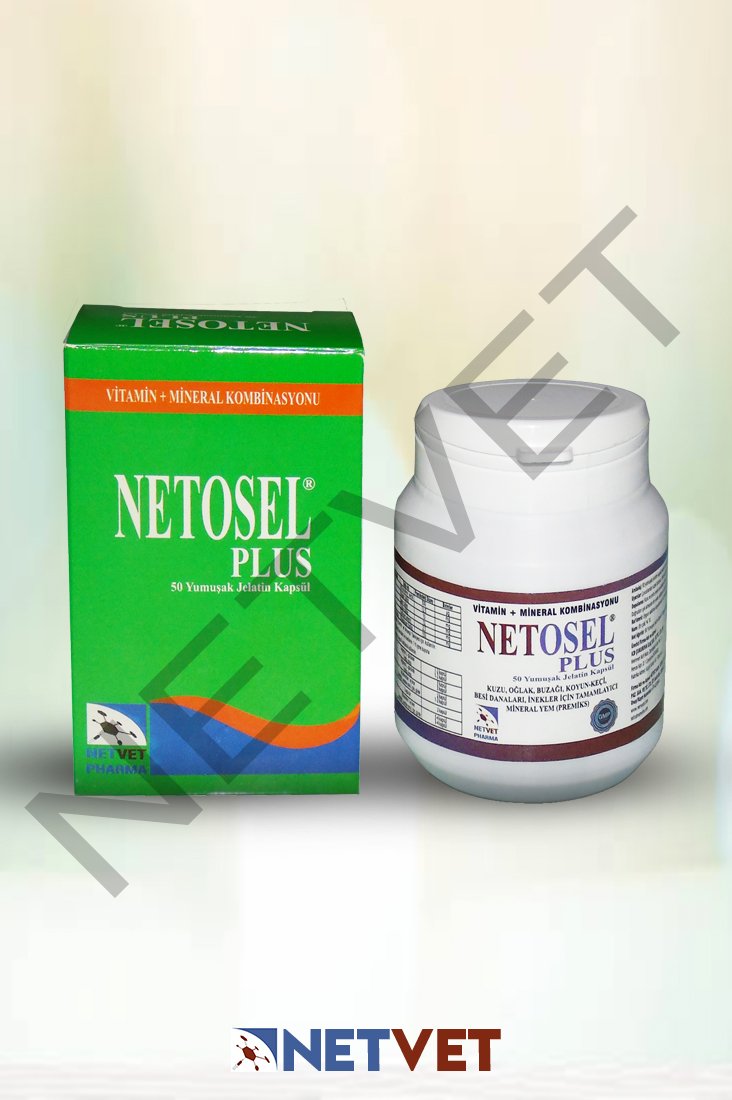 NETOSEL PLUS