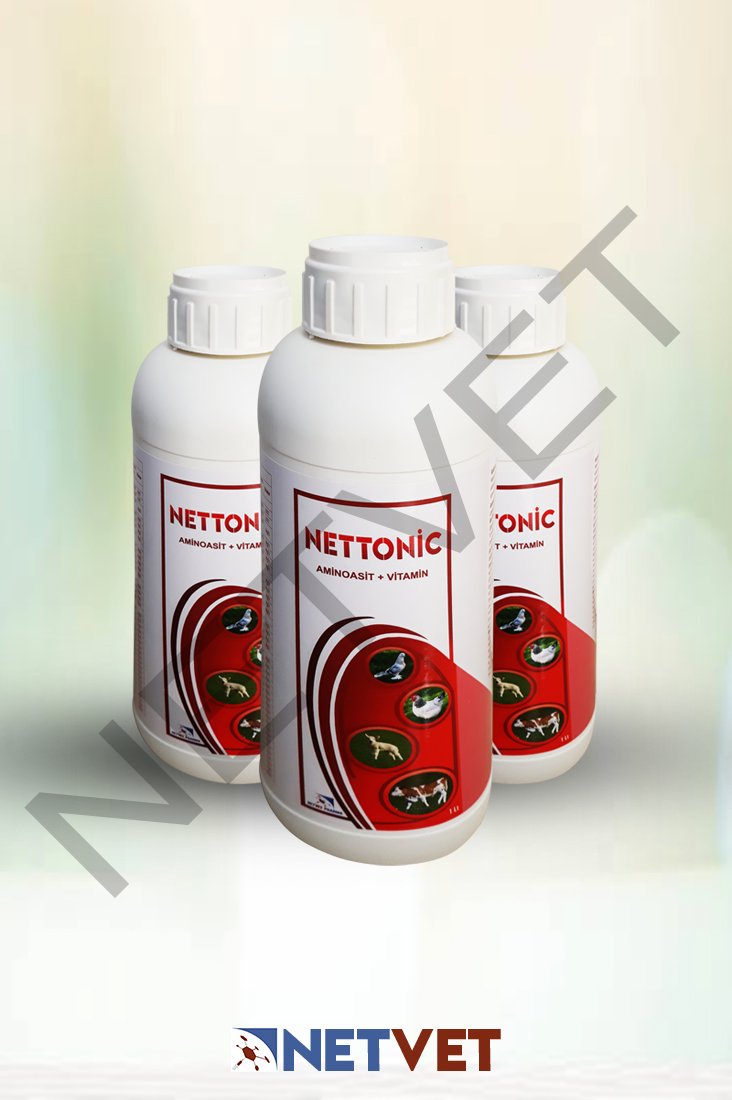 NETTONİC